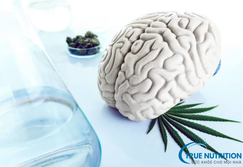 Tại Sao Uống Thuốc Bổ Não Lại Buồn Ngủ? Nguyên Nhân Và Cách Khắc Phục