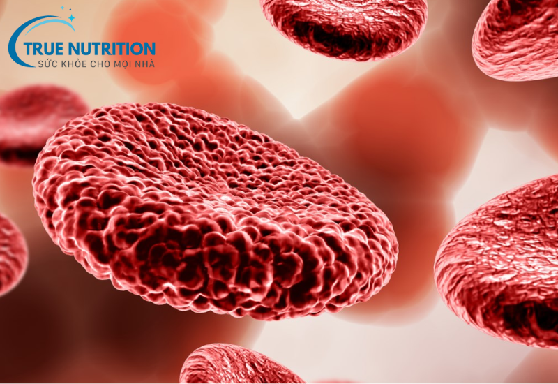 Thiếu Máu Là Gì? Nguyên Nhân và Phương Pháp Điều Trị Hiệu Quả