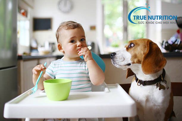 Tiết Lộ: Thói Quen Ăn Uống Có Thể Ngăn Ngừa Thiếu Canxi Ở Trẻ