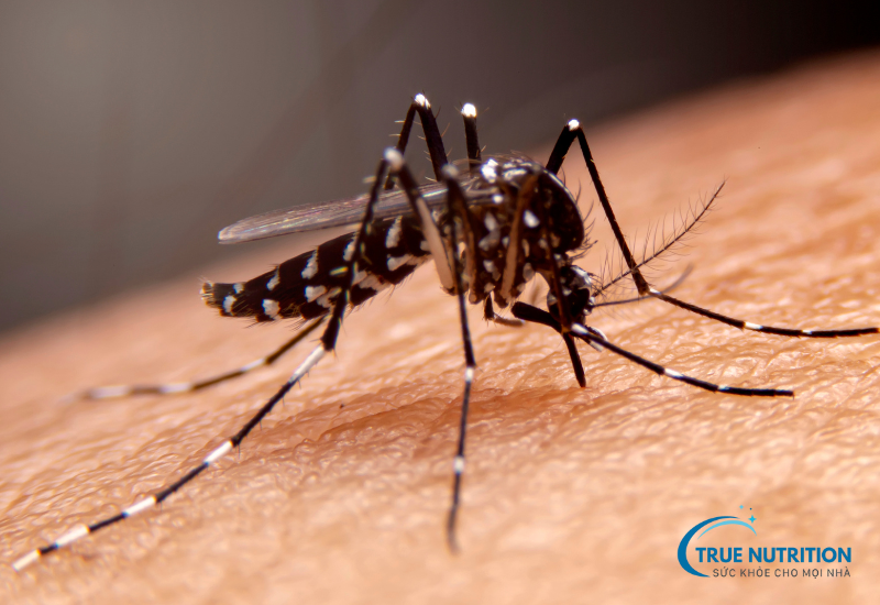 Thuốc bôi muỗi đốt cho bé là thuốc gì? Hướng dẫn sử dụng