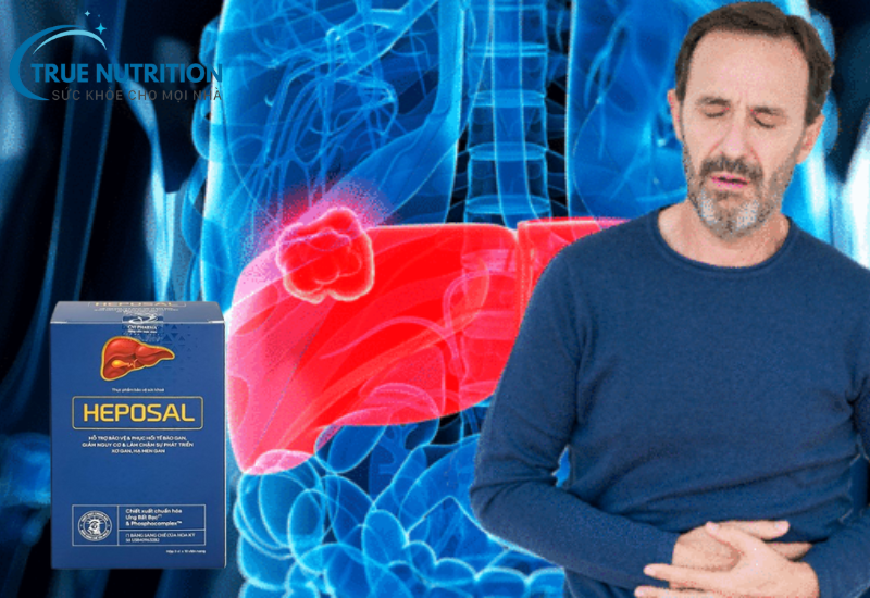 Thuốc Heposal Có Tác Dụng Gì? Tìm Hiểu Chi Tiết Về Sản Phẩm Hỗ Trợ Gan