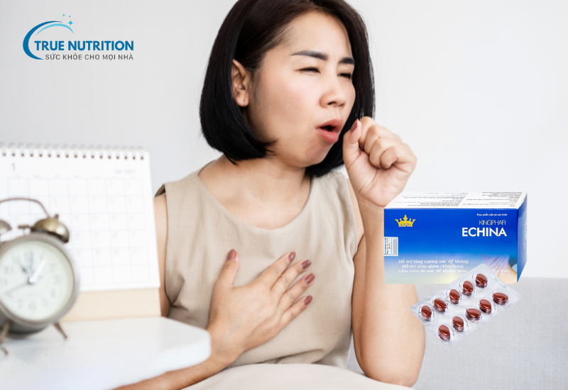 Thuốc Kingphar Echina là thuốc gì? Hỗ trợ miễn dịch, ngừa cảm cúm