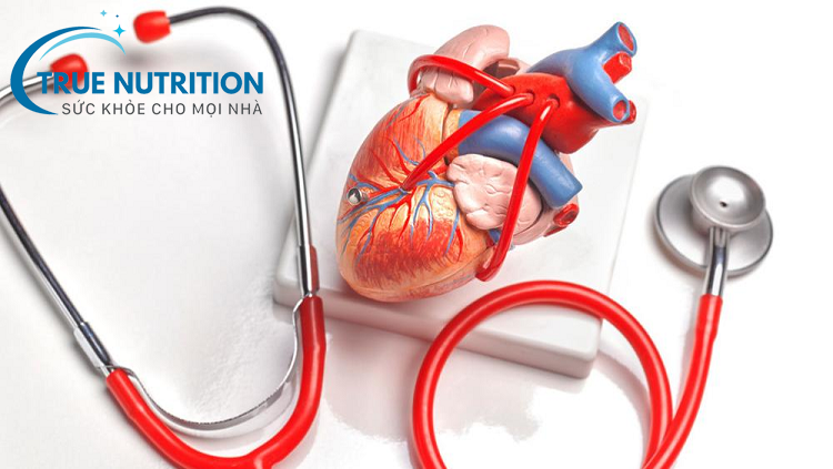 Tiểu Đường và Tim Mạch: Mối Liên Hệ Nguy Hiểm Và Cách Bảo Vệ Sức Khỏe Toàn Diện