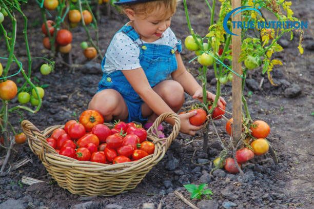 Tối Ưu Hóa Chiều Cao: Thói Quen Sinh Hoạt Tăng Chiều Cao Cho Trẻ