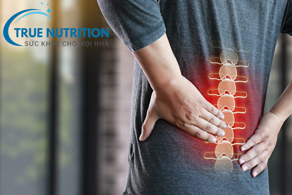 6 Triệu Chứng Cảnh Báo Bệnh Thoái Hóa Đốt Sống Thắt Lưng Bạn Không Thể Bỏ Qua