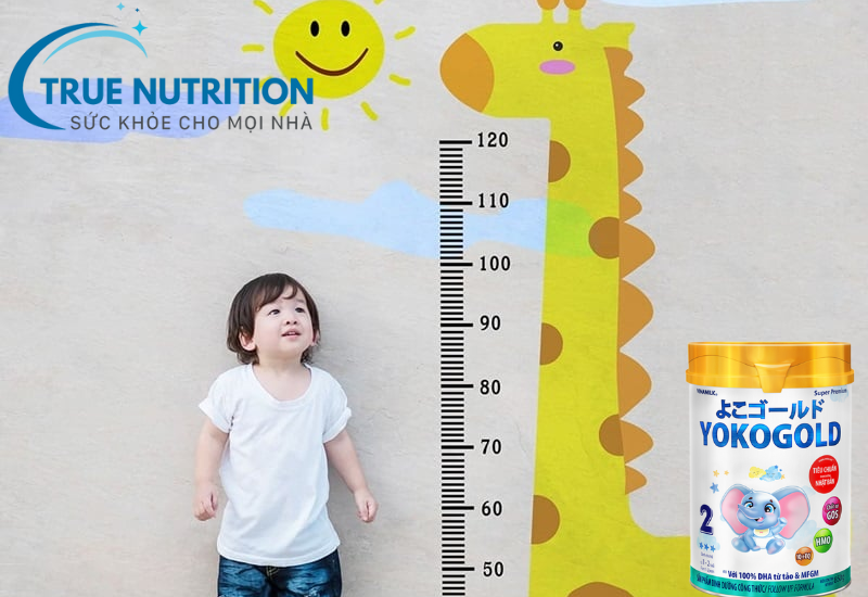 Sữa Yoko có tăng chiều cao không? Khám phá sự thật