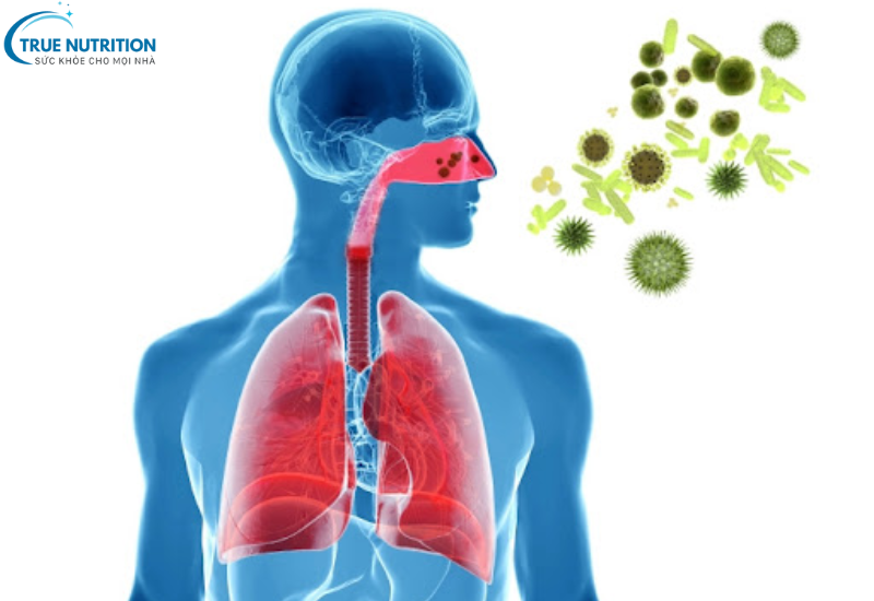 Viêm Phổi: Các Biện Pháp Phòng Ngừa Hiệu Quả Giảm Nguy Cơ Nhiễm Bệnh