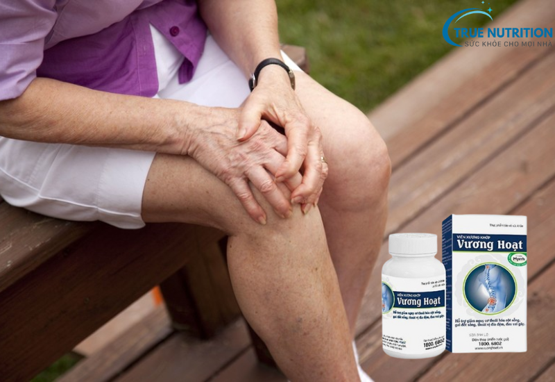 Vương Hoạt là Thuốc Hay Thực Phẩm Chức Năng? Tìm Hiểu Chi Tiết!