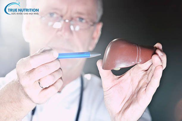 Xơ Gan Có Di Truyền Không? Cách Phòng Bệnh Hiệu Quả Nhất!