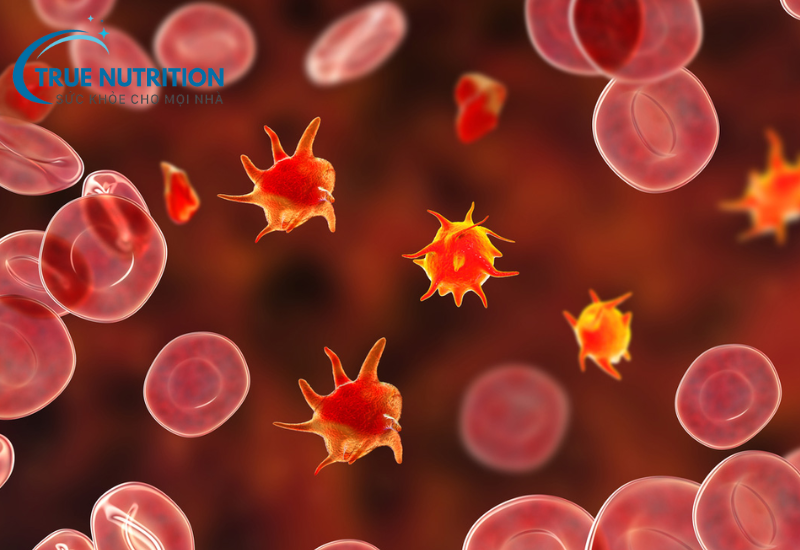 Xuất Huyết Giảm Tiểu Cầu: Triệu Chứng và Biện Pháp Phòng Ngừa