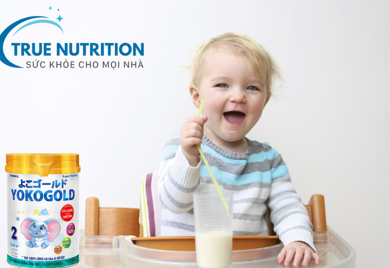 Sữa Yoko Giá Bao Nhiêu? Đánh Giá Toàn Diện Về Chất Lượng Và Chi Phí!
