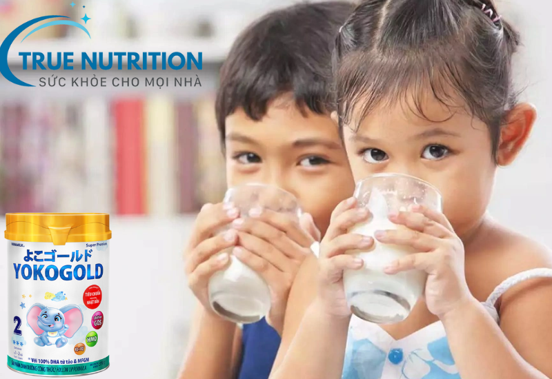 Sữa Yoko Gold 2 Có Tốt Không? Khám Phá Những Lợi Ích Nổi Bật Cho Trẻ!
