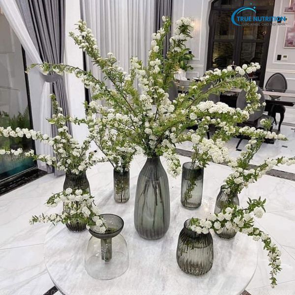 Mua Hoa Tiểu Tú Cầu Ở Đâu? Có Bền Không? Cách Dưỡng Tiểu Tú Cầu?