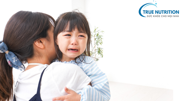 Khủng Hoảng Tuổi Lên 4: Nguyên Nhân Và Cách Đồng Hành Giúp Trẻ Vượt Qua Dễ Dàng