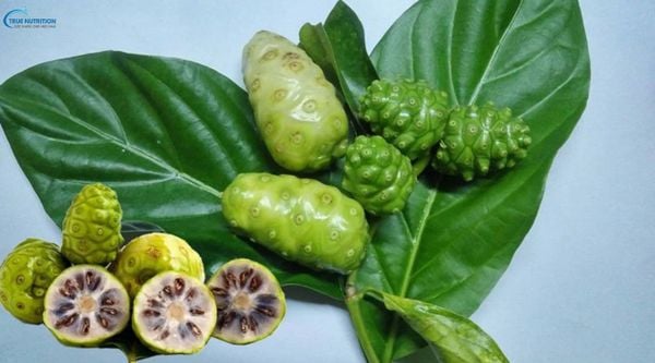 Cách Ngâm Trái Nhàu Đường Phèn, Lợi Ích, Lưu Ý, Cách Sử Dụng