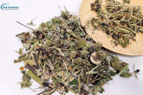 Cây Cối Xay Ngâm Rượu: Bí Quyết Dân Gian Hỗ Trợ Sức Khỏe