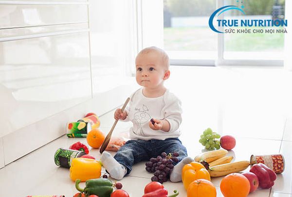 Top 12 Thực Phẩm Bổ Sung Canxi Cho Trẻ - Giúp trẻ phát triển chiều cao