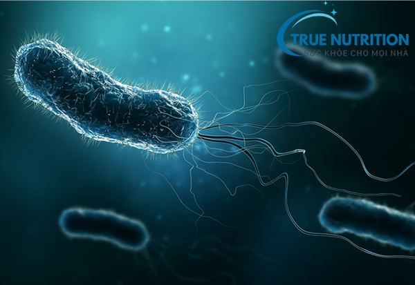 hp dạ dày dương tính có nguy hiểm không