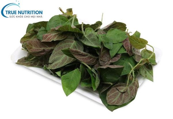 Lưỡi bị đen khi ăn lá mơ: Nguyên nhân, lợi ích và lưu ý