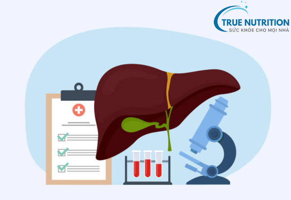 Ai Cần Bổ Gan? Tìm Hiểu Khi Nào Cần Chăm Sóc Gan Đúng Cách