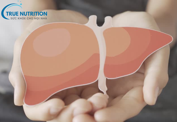 Ai Cần Bổ Gan? Tìm Hiểu Khi Nào Cần Chăm Sóc Gan Đúng Cách