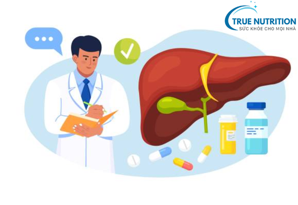 Ai Cần Uống Bổ Gan? Bí Quyết Bảo Vệ Gan Khỏe Mạnh Mà Bạn Không Nên Bỏ Lỡ