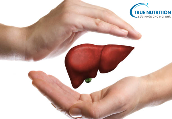 Ăn Gì Để Bổ Gan? Khám Phá Các Thực Phẩm Giúp Gan Khỏe Mạnh Tự Nhiên