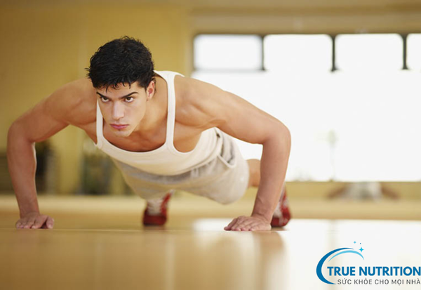 Top 10 Sản Phẩm Tăng Cường Sinh Lý Toàn Diện - Hiệu Quả Từ Thiên Nhiên