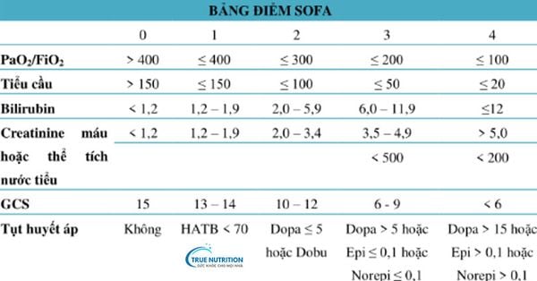 Thang Điểm SOFA và qSOFA: Đánh Giá Suy Chức Năng Cơ Quan và Tiên Lượng Tử Vong