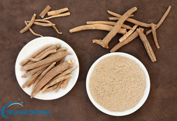 Ashwagandha là gì?