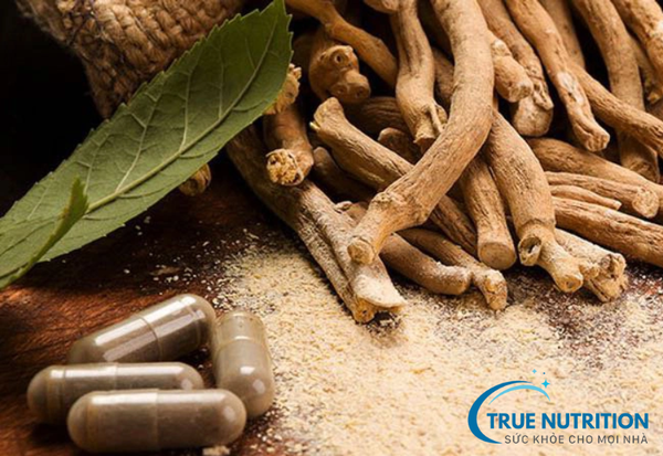 Ashwagandha là gì?