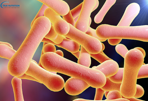 Nhận Biết Các Triệu Chứng Của Bệnh Bạch Hầu: Những Biểu Hiện Cần Lưu Ý