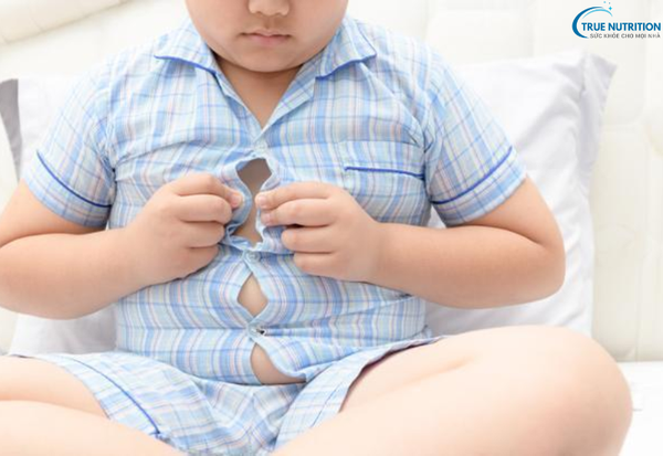 Nguyên Nhân Bệnh Béo Phì: Những Yếu Tố Dẫn Đến Tình Trạng Thừa Cân