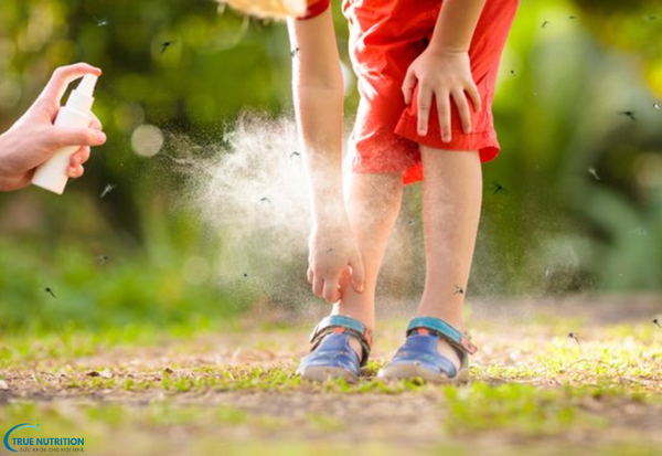 Cách Phòng Tránh Bệnh Sốt Rét: Những Lời Khuyên Giúp Ngăn Ngừa Bệnh