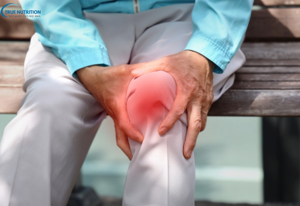 Nguyên Nhân Bệnh Thoái Hóa Khớp: Những Yếu Tố Gây Ra Cơn Đau Khớp