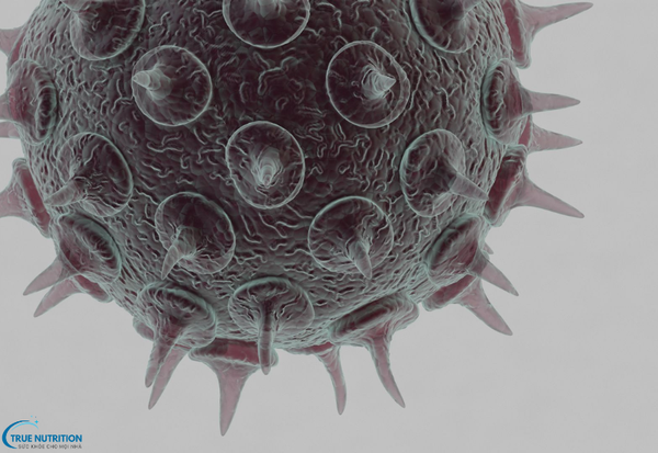 Dấu Hiệu Bệnh Thủy Đậu: Những Triệu Chứng Đặc Trưng Cần Lưu Ý