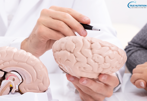 Dấu Hiệu Bệnh U Não: Những Triệu Chứng Cảnh Báo Bạn Không Thể Bỏ Qua