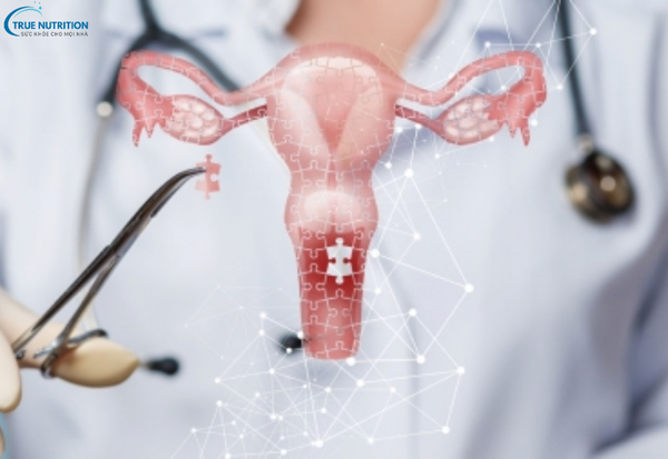 Dấu Hiệu Bệnh Ung Thư Cổ Tử Cung: Nhận Diện Sớm Để Chủ Động Điều Trị