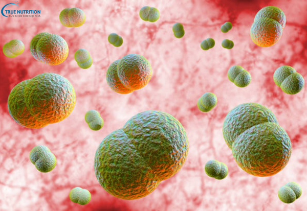 Dấu hiệu bệnh viêm màng não: Những triệu chứng không thể bỏ qua