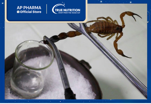 bọ cap dược liệu