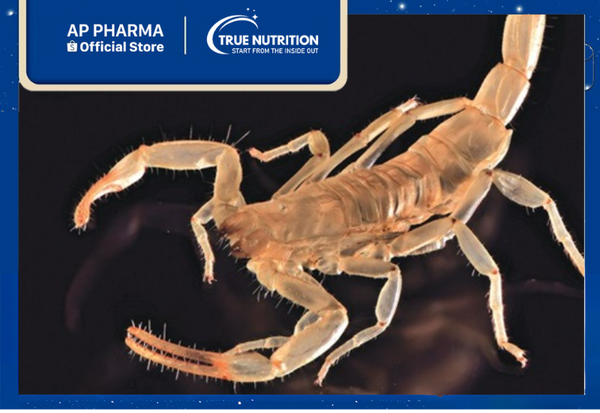 bọ cap dược liệu