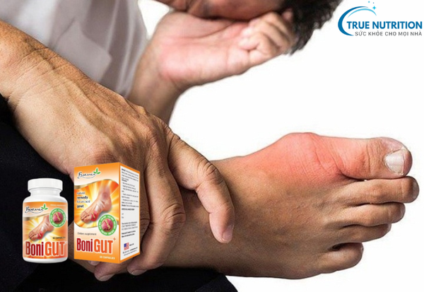 Bonigut Giá Bao Nhiêu?