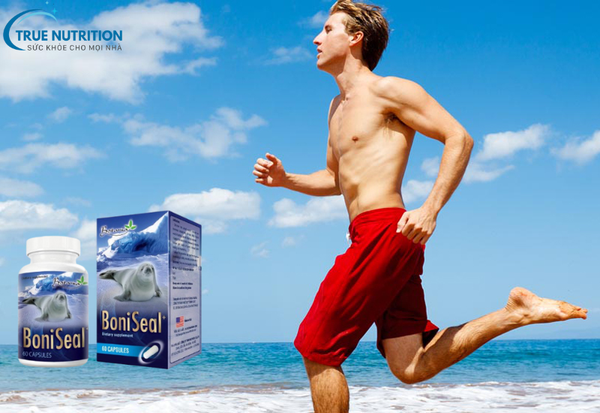 Boniseal Bán Ở Đâu?
