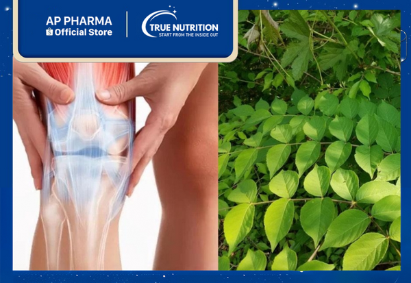 cây đơn châu chấu