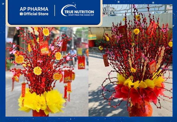 cây nụ tầm xuân