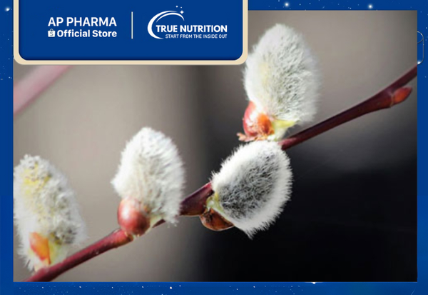 cây nụ tầm xuân