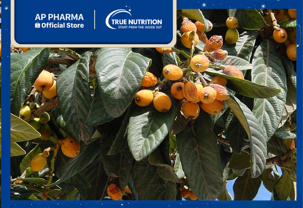 cây sơn trà nhật bản