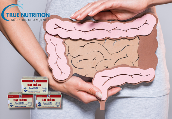 Công Dụng Của Đại Tràng Tâm Bình