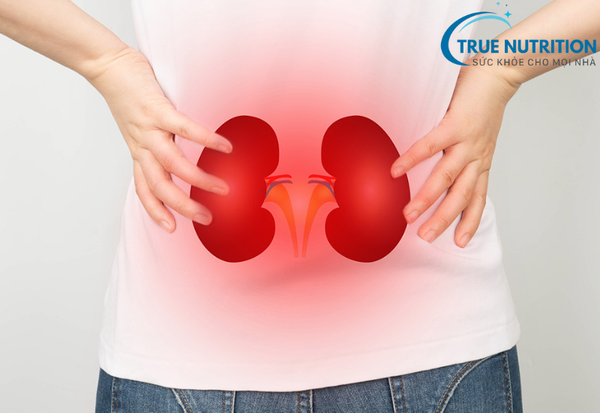 Dấu Hiệu Suy Thận: Nhận Biết Sớm Để Bảo Vệ Sức Khỏe Thận
