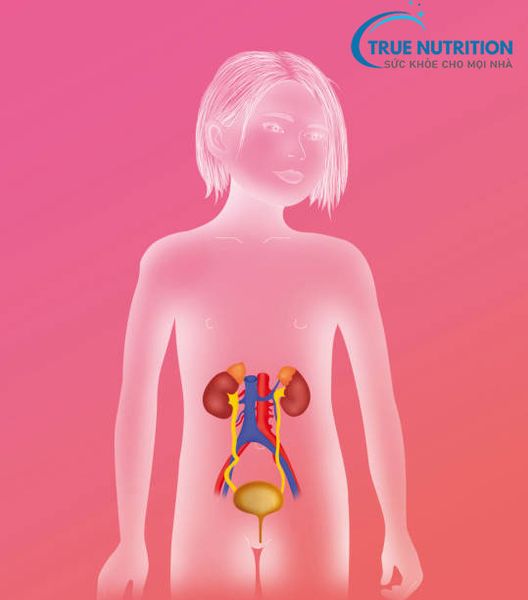 Nguyên Nhân Khiến Bé Gái Dễ Mắc Viêm Đường Tiết Niệu Hơn Bé Trai